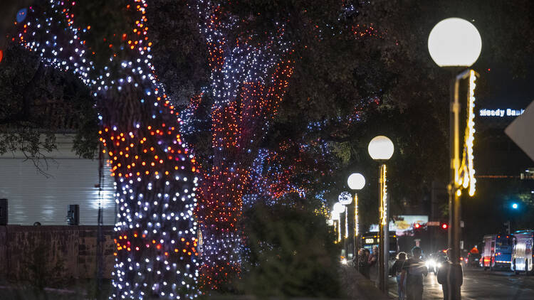 Longhorn Lights