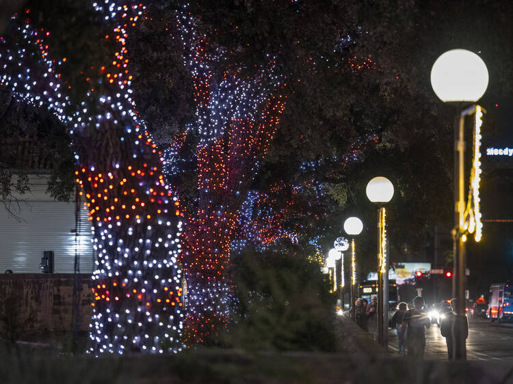 Longhorn Lights