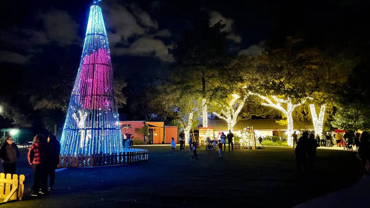 San Antonio Zoo Lights