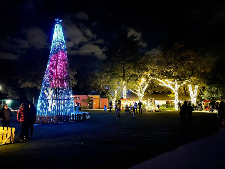 San Antonio Zoo Lights