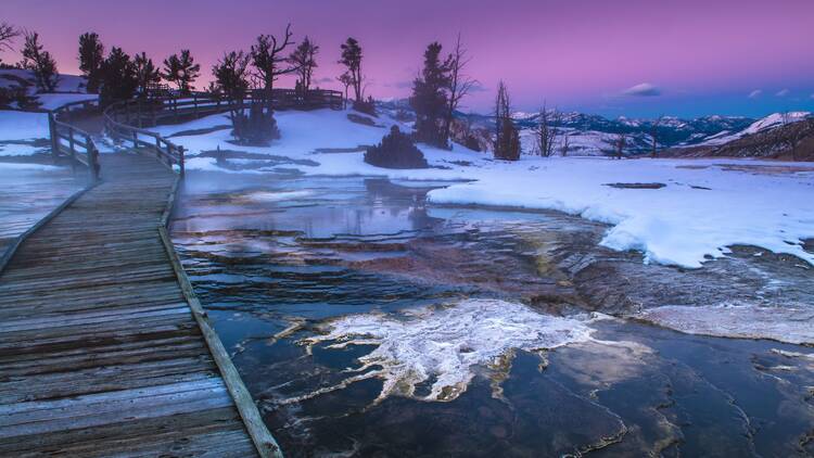 Yellowstone National Park, US