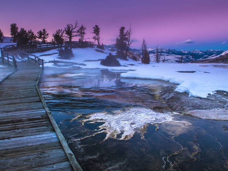 Yellowstone National Park, US