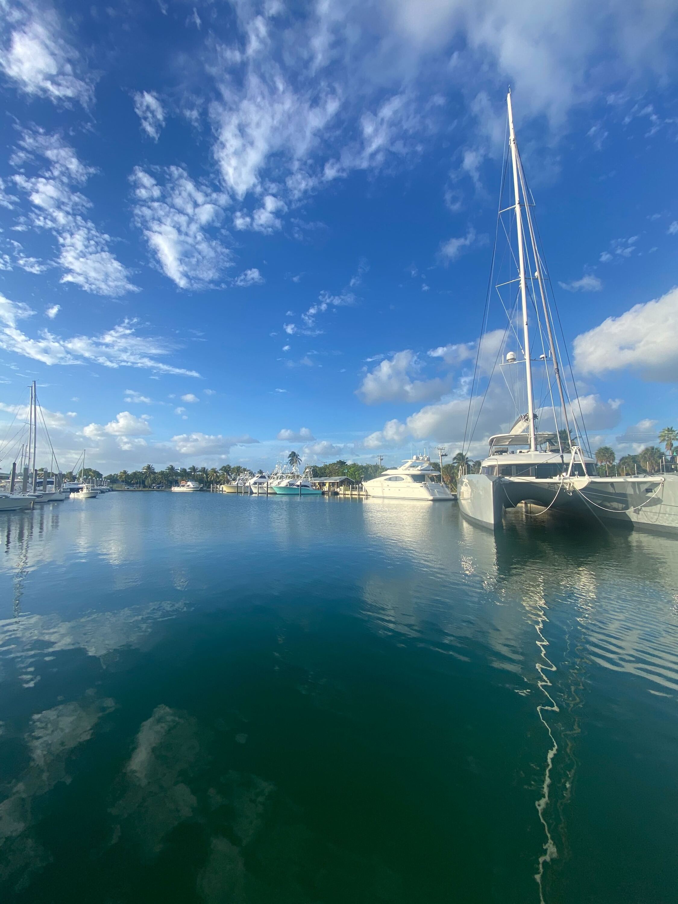 Pelican Harbor Seabird Cruise