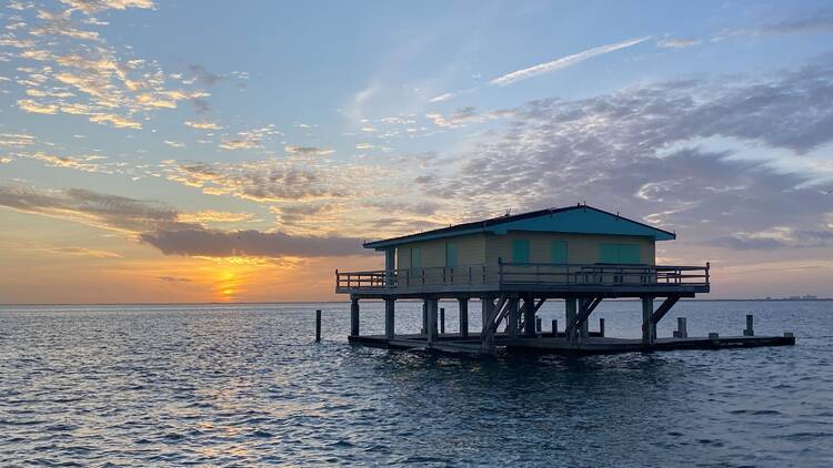 Pelican Harbor Seabird Cruise