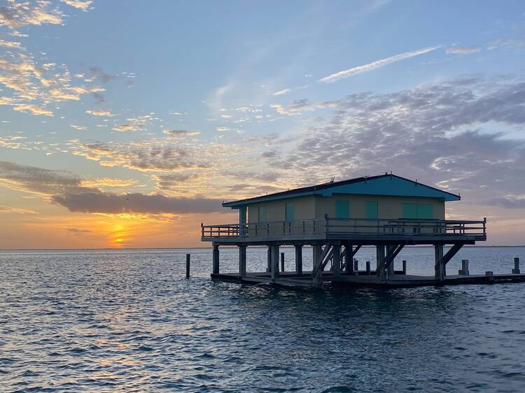 This sunset seabird cruise on Biscayne Bay always sells out—I found out why