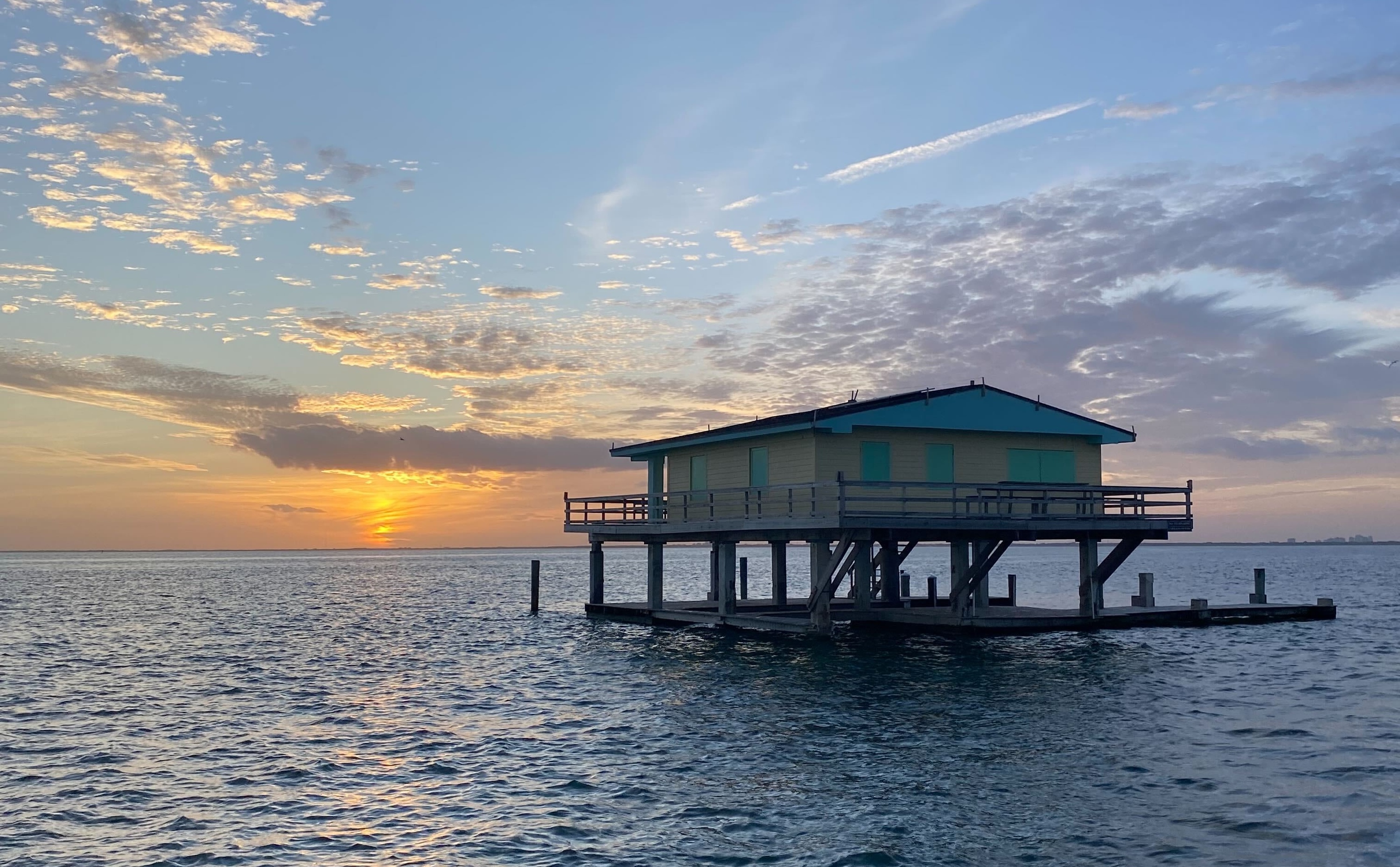 This sunset seabird cruise on Biscayne Bay always sells out—I found out why