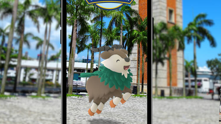 Pokemon Go City Safari Skiddo