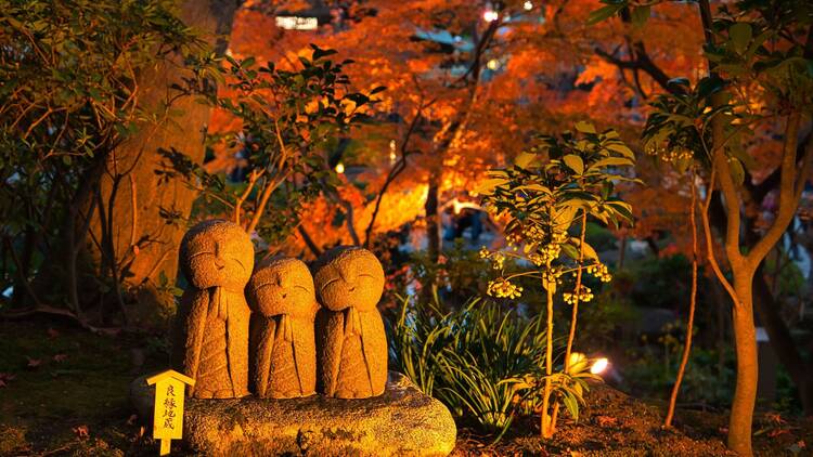 Kamakura Hasedera Autumn Light-up