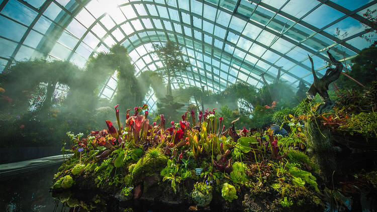 Step into a floral wonderland at Flower Dome