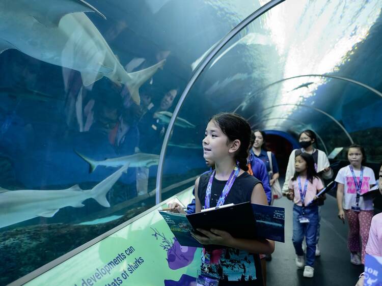 Sing under the sea at S.E.A. Aquarium