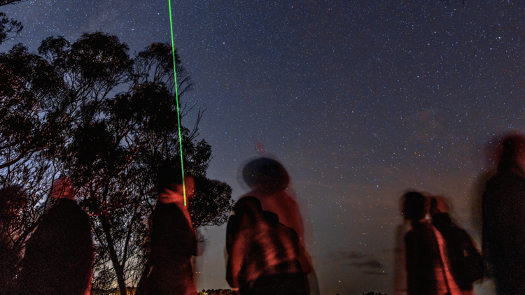 Stargazers at night