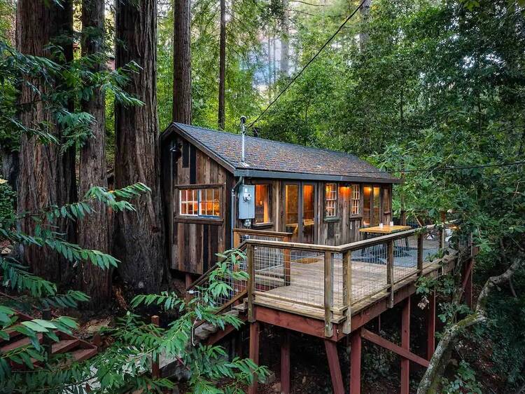 The redwood treehouse in Camp Meeker, California