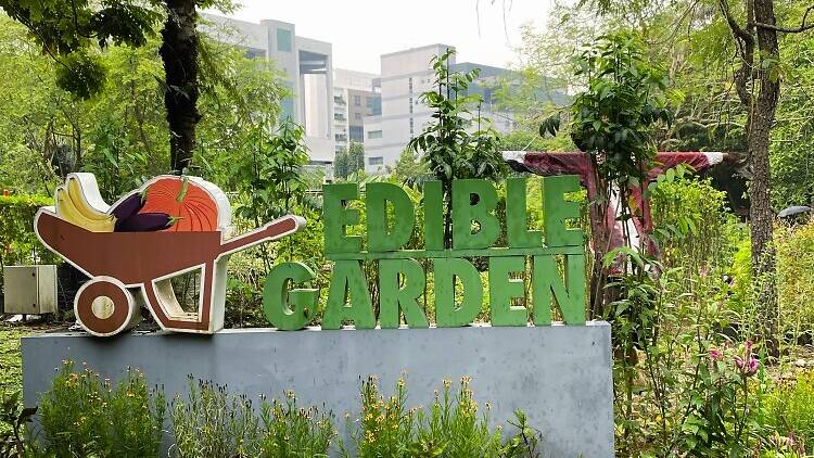 Brush up on your gardening skills at HortPark