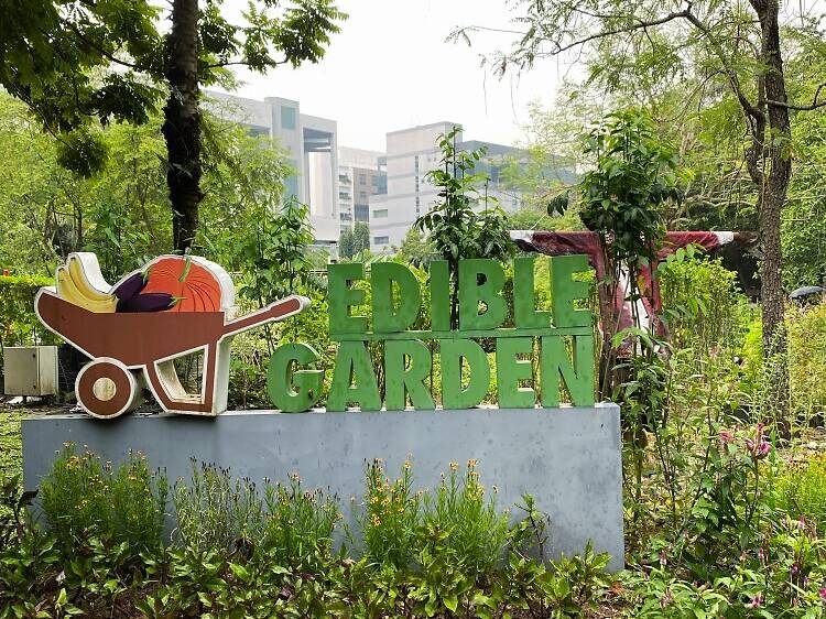 Brush up on your gardening skills at HortPark