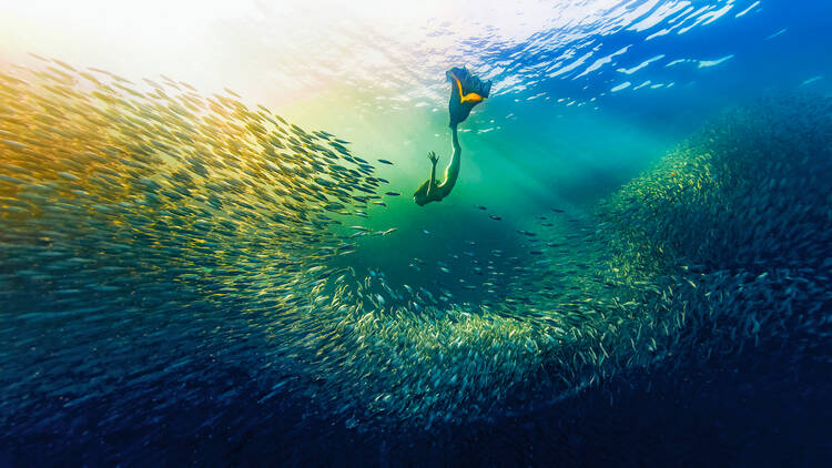 Ocean Photographer of the Year 2024, Australian National Maritime Museum