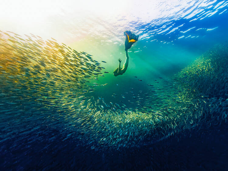 Ocean Photographer of the Year 2024, Australian National Maritime Museum