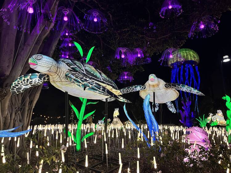 Lanterns of sea turtles and jellyfish at L.A. Zoo Lights.