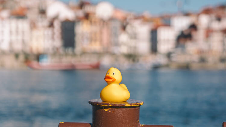 Porto Duck Store