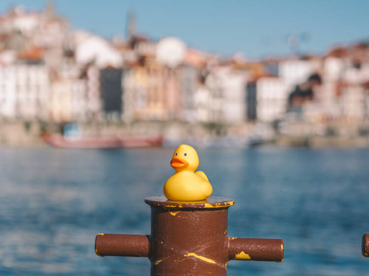 Porto Duck Store: os famosos patos de borracha atravessaram o rio e chegaram à Rua das Flores