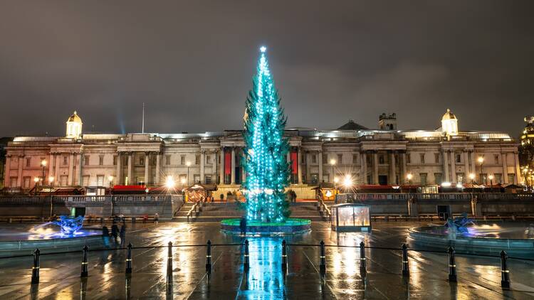 Trafalgar Square christmas tree 