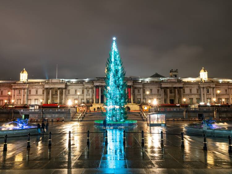 The Trafalgar Square Christmas tree has been felled in Norway