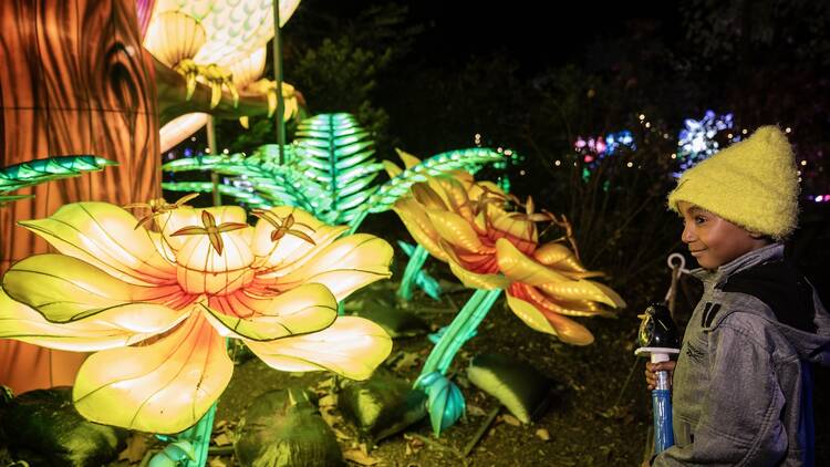 A child stands near a lit-up flower display.