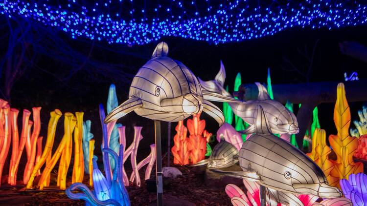 Bronx Zoo Holiday Lights