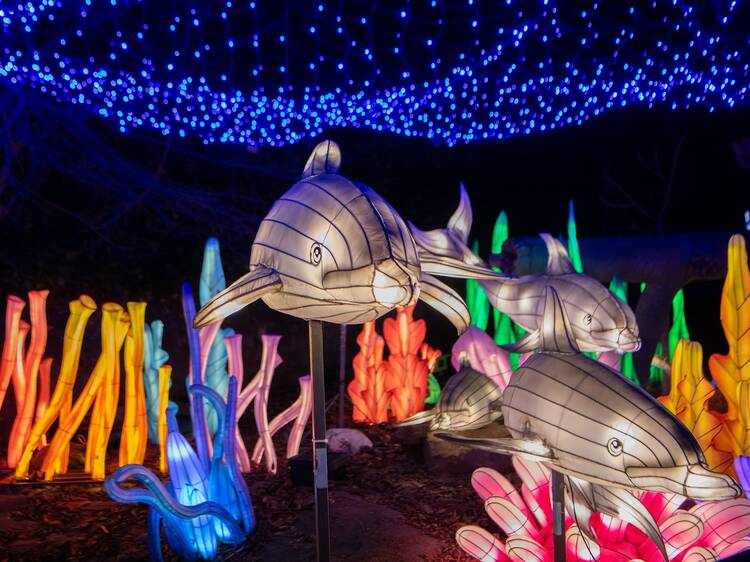 Bronx Zoo Holiday Lights