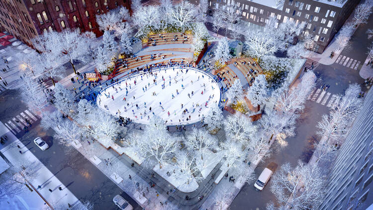 Domino Park Rink