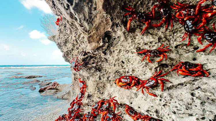 Christmas Island