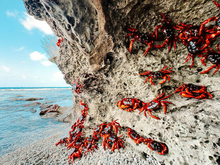 Christmas Island