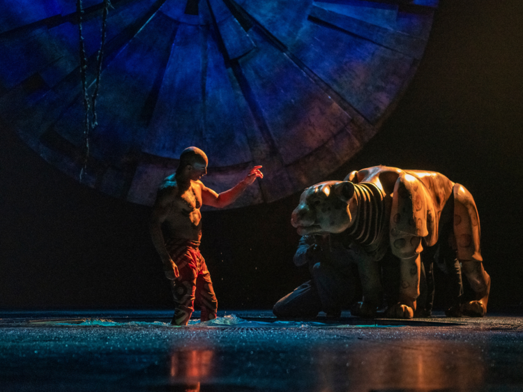 Cirque du Soleil: Luzia