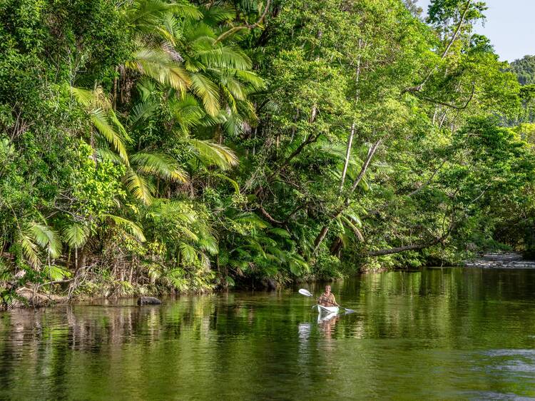 Person kayaking in the Daintree Rainforest