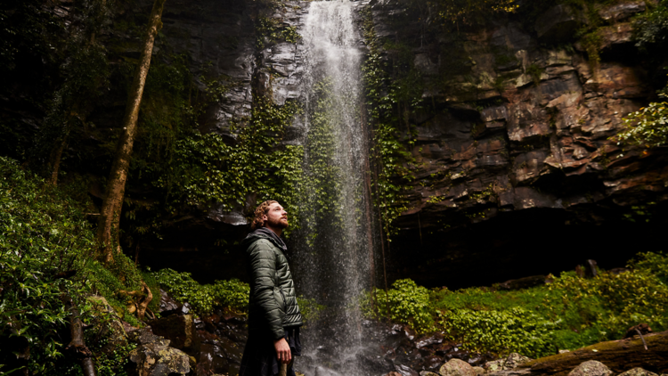 Gondwana Rainforests, NSW/QLD