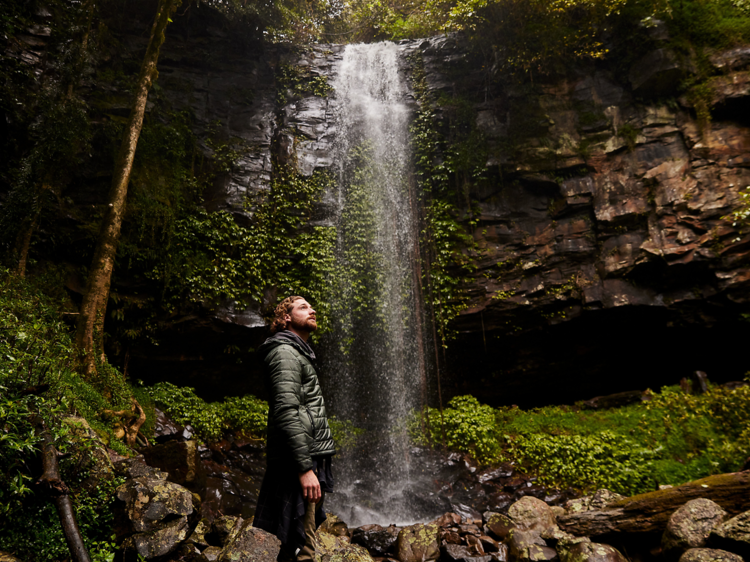 Gondwana Rainforests, NSW/QLD