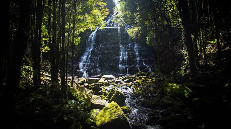 Tasmanian Wilderness World Heritage Area, TAS