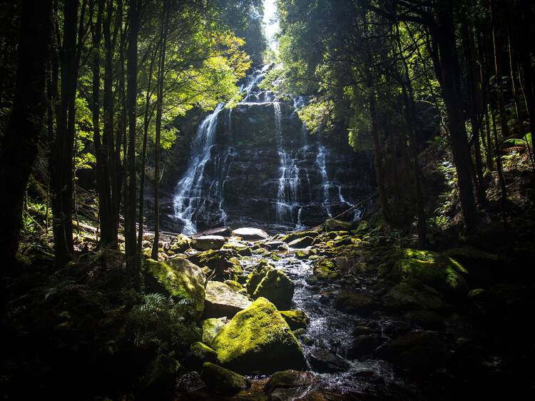 Tasmanian Wilderness World Heritage Area, TAS