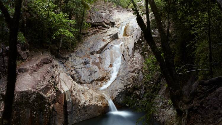 Eungella National Park, QLD