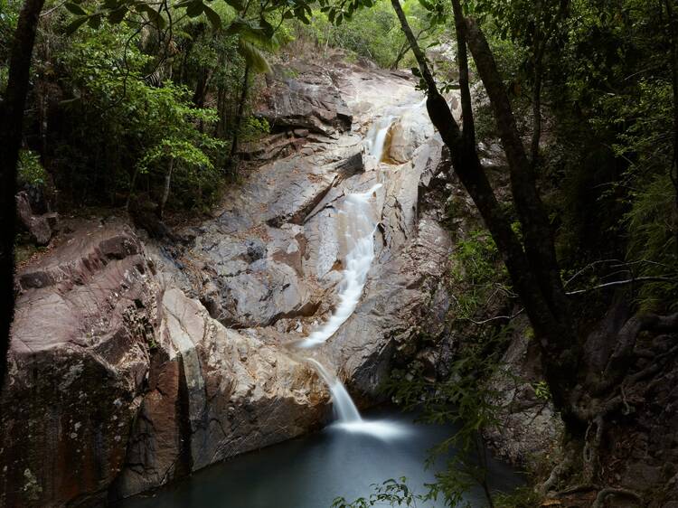 Eungella National Park, QLD