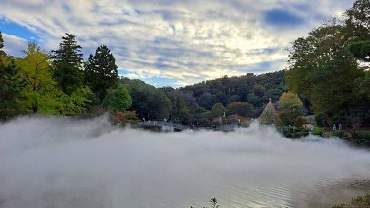 Sea of clouds at Machida Yakushi Ike Park