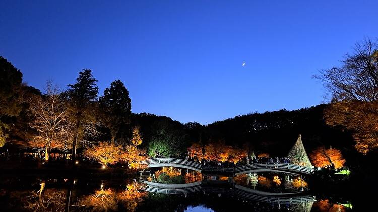 Machida Yakushi Ike Park