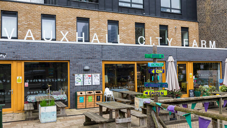 Vauxhall City Farm (Photograph: Laura Gallant for Time Out)