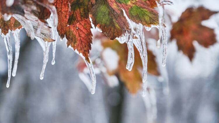 Freezing rain fall