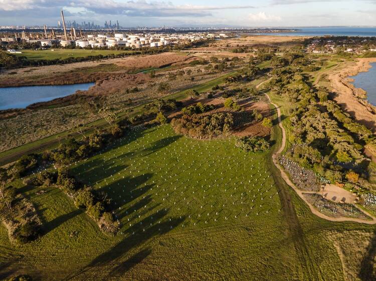 Melbourne's west set to flourish with 90,000 new trees, making half a million planted in total