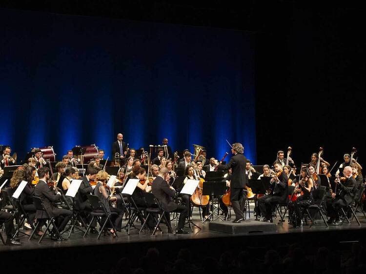 Haydn Por Um Dia - Orquestra Metropolitana de Lisboa