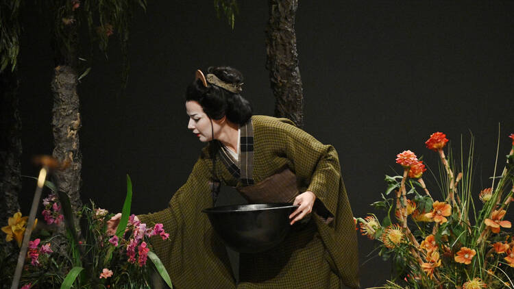 Madama Butterfly at El Liceu: tragedy and beauty