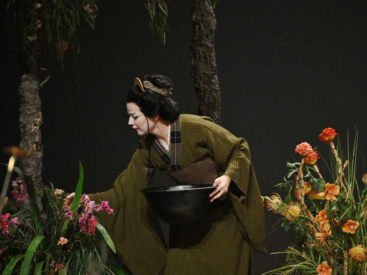 Madama Butterfly at El Liceu: tragedy and beauty