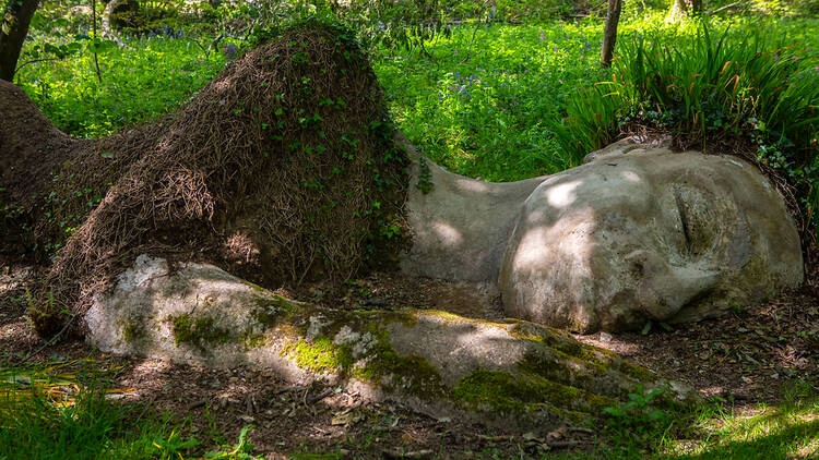 Lose yourself in the Lost Gardens of Heligan