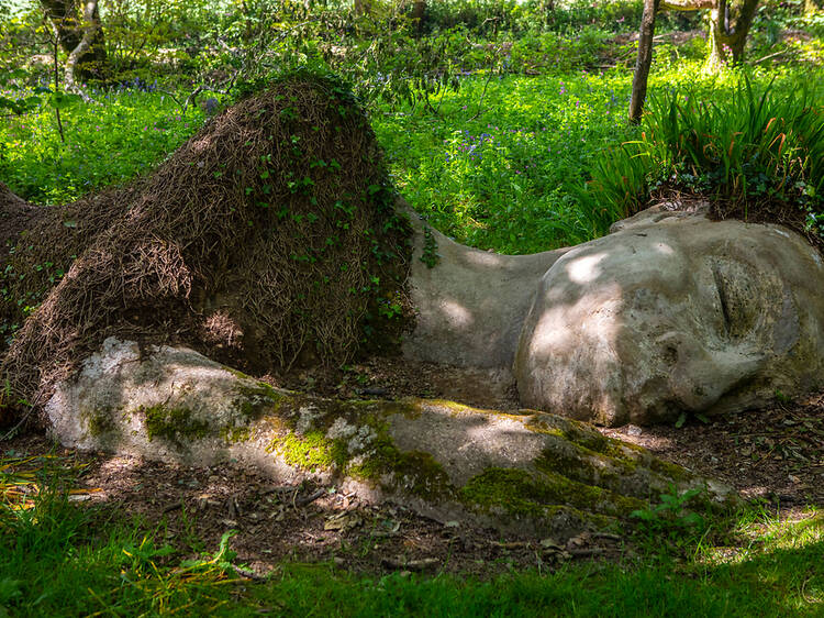 Lose yourself in the Lost Gardens of Heligan