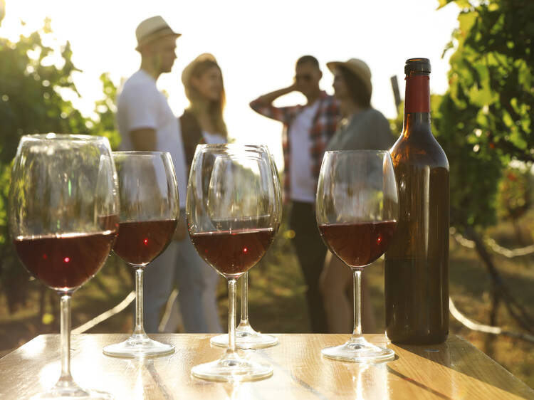 Penedès: el bressol del vi i el cava